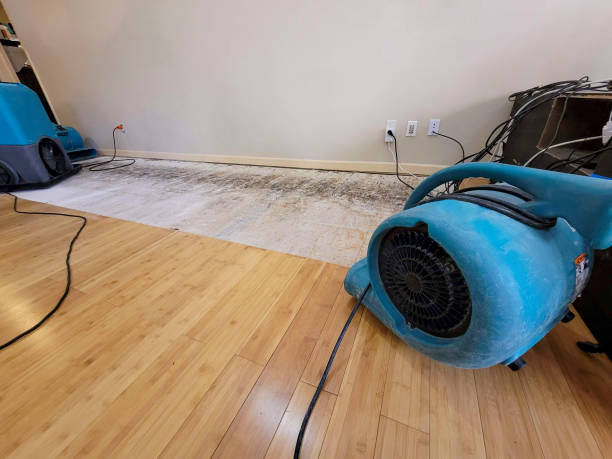 Professional Flood Damage Cleanup technician working in Leeton, MO